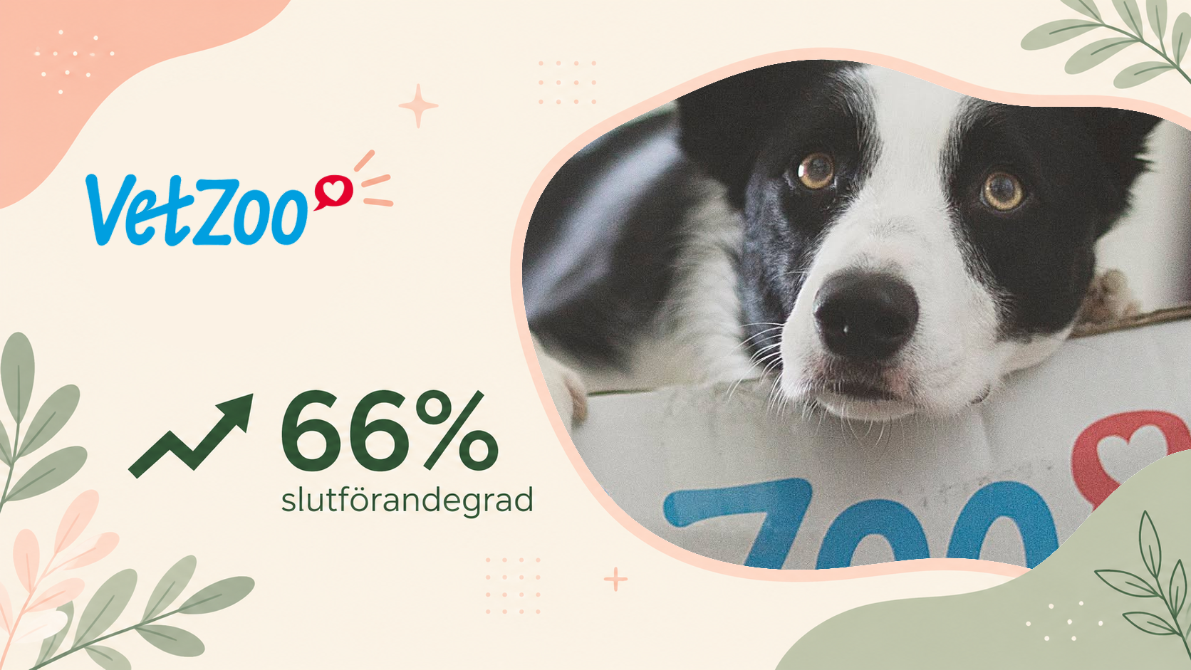 Hur Vetzoo gjorde ett nyhetsbrev till deltagande, data och insikt
